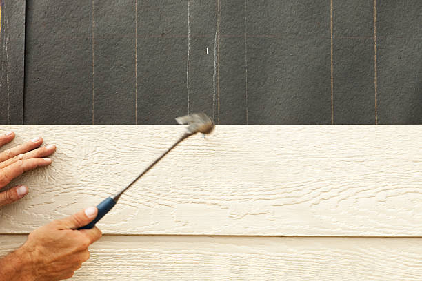 Best Insulated Siding Installation  in Higginsville, MO